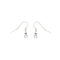 100 Pcs Silver Plated Ear Wire Fish Hook Earring Hooks Bead and Spring 18mm x 19mm Findings Charms Pendants